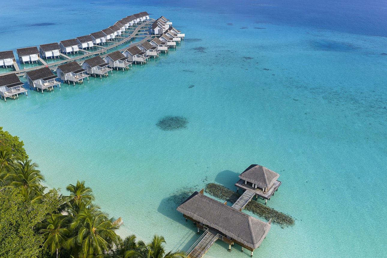 Niva Kuramathi Maldives